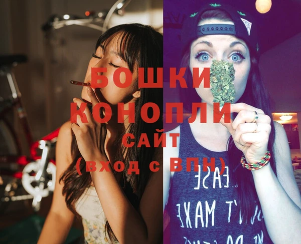 дживик Дмитров