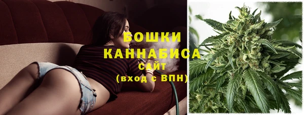 дживик Дмитров