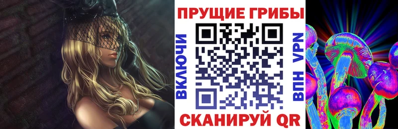 Купить закладки  Заринск  Галлюциногенные грибы Psilocybine cubensis 